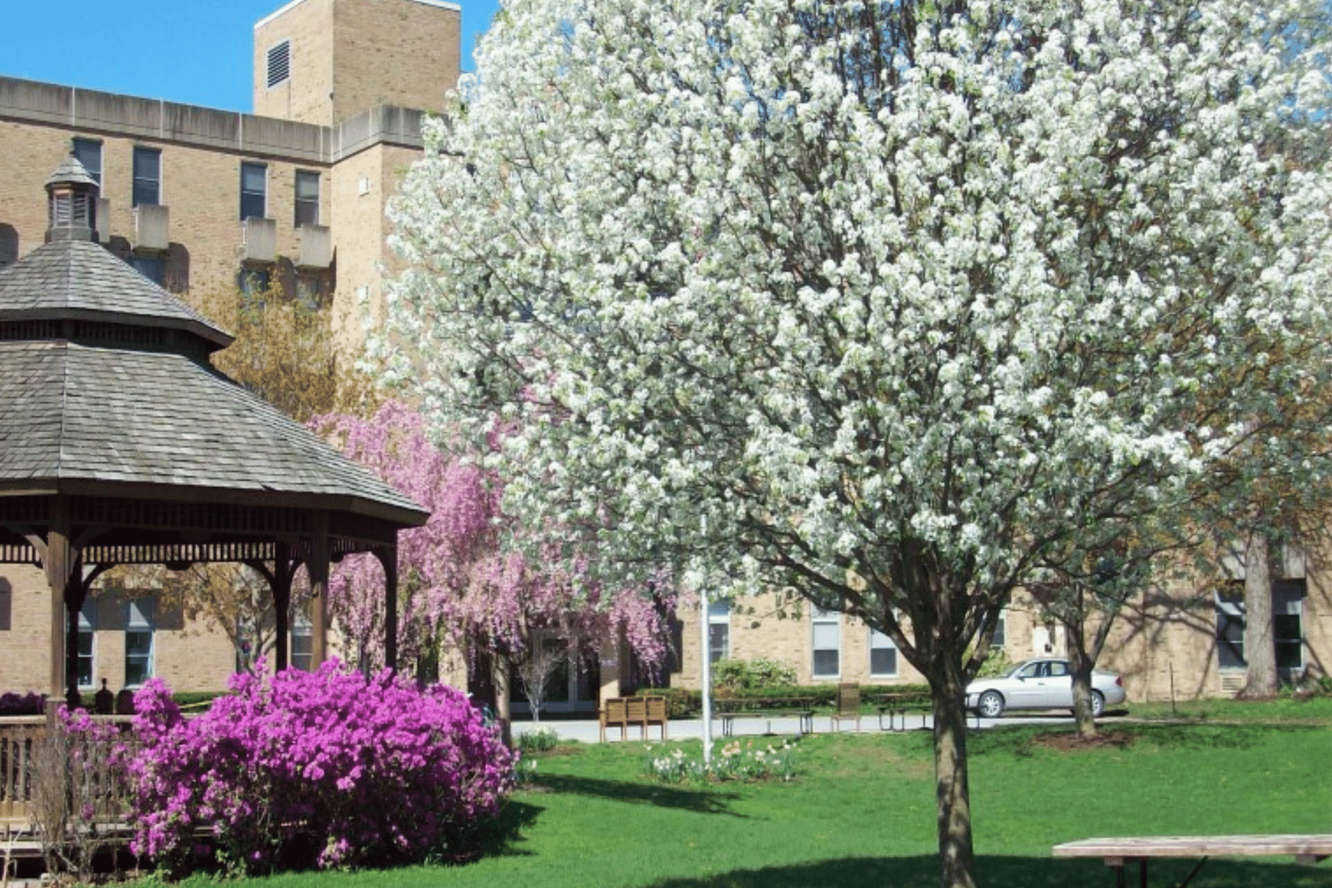 ArchCare Nursing Home Locations and Information ArchCare