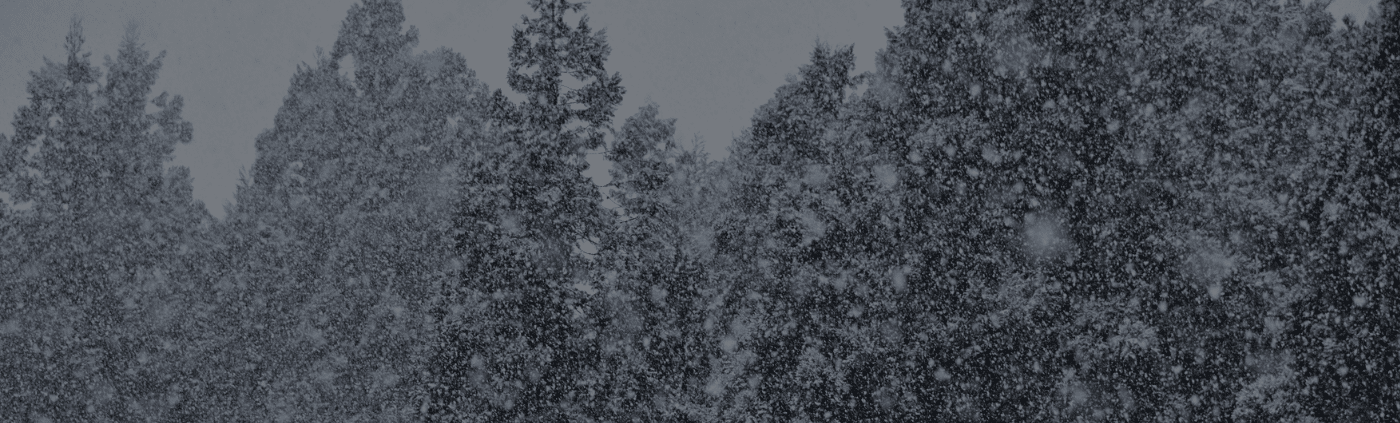 Untitled design (14)